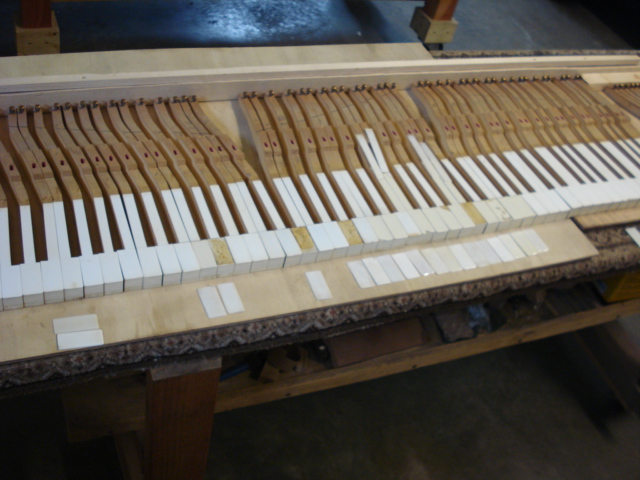 B6 - White keys cleaned, replacements for chipped and missing keytops found and installed B6 - White keys cleaned, replacements for chipped and missing keytops found and installed